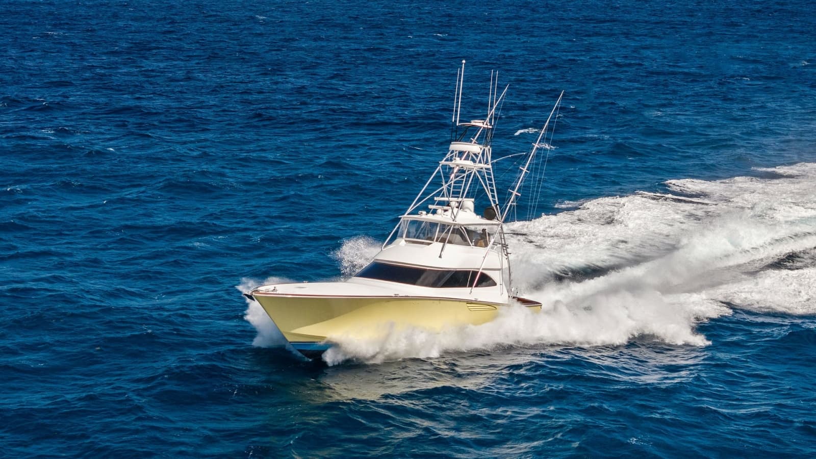 Dynamic Bow View at Sea