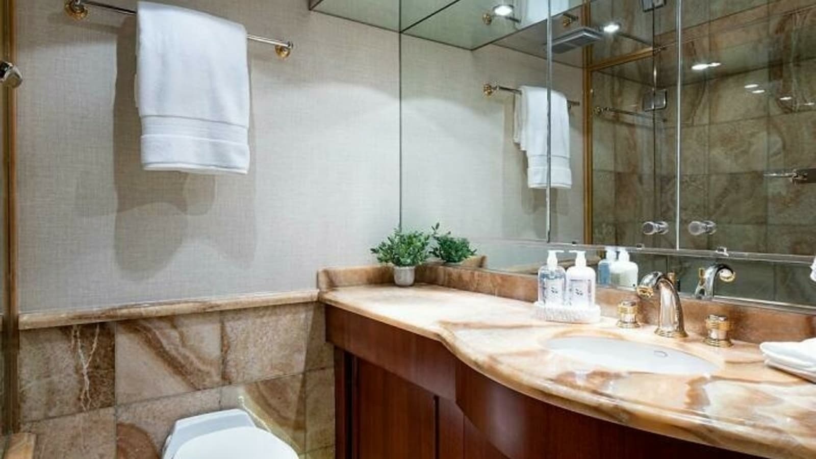 Elegant Yacht Bathroom Interior