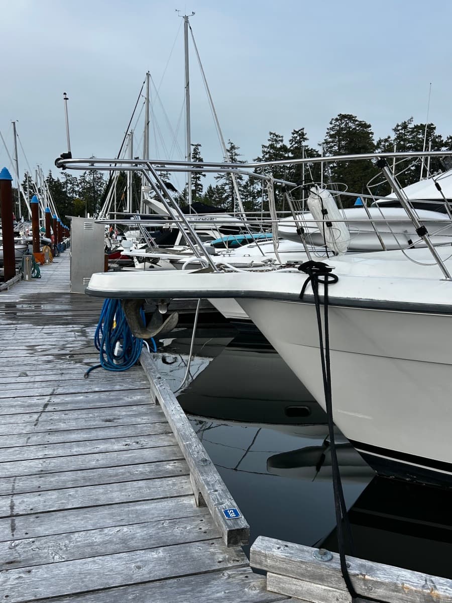 1994 Carver  390