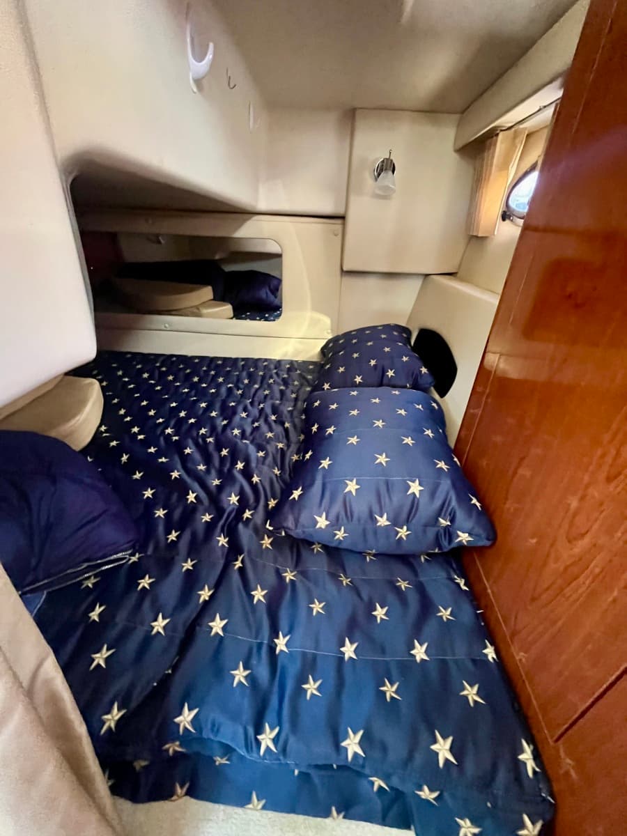 2009 Regal 3060 Window Express