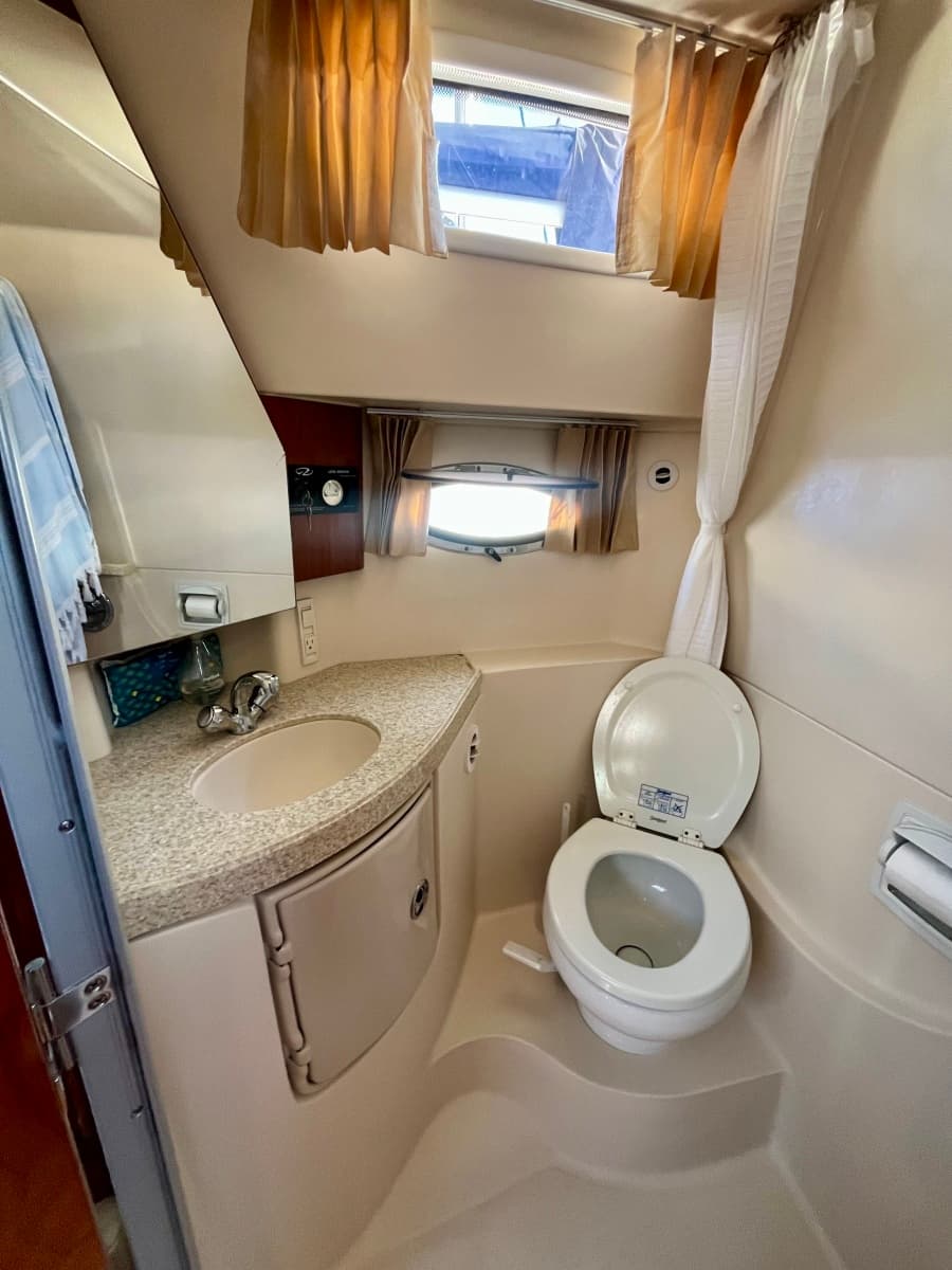 2009 Regal 3060 Window Express