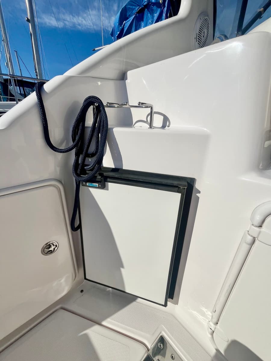 2009 Regal 3060 Window Express