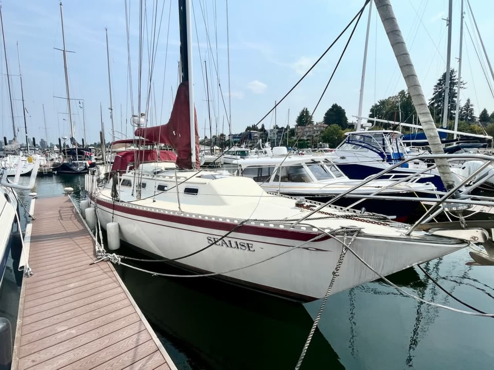1981 Islander 36