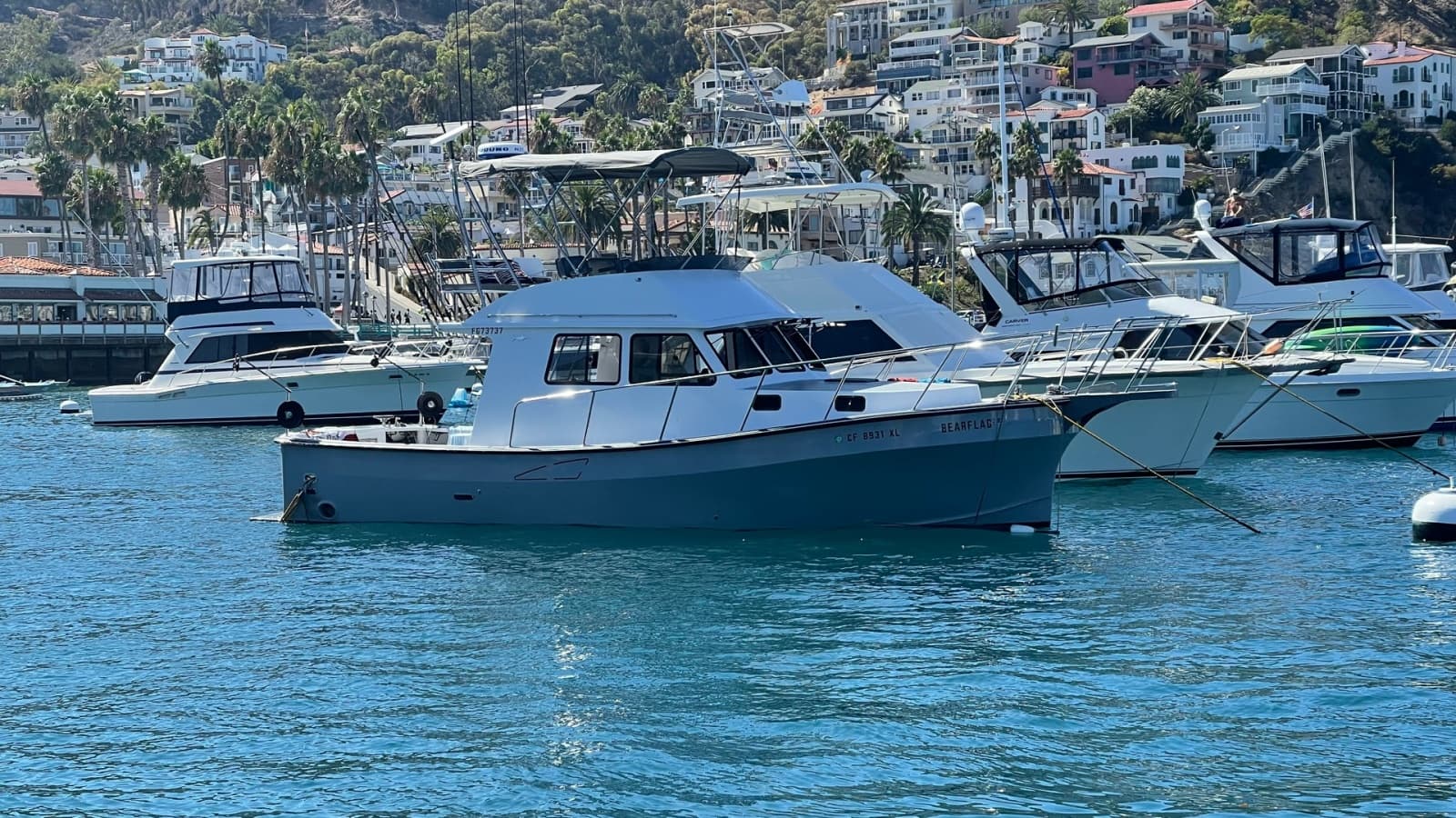 2019 Donelle 35 Flybridge Sportfish "BEAR FLAG 3.0"