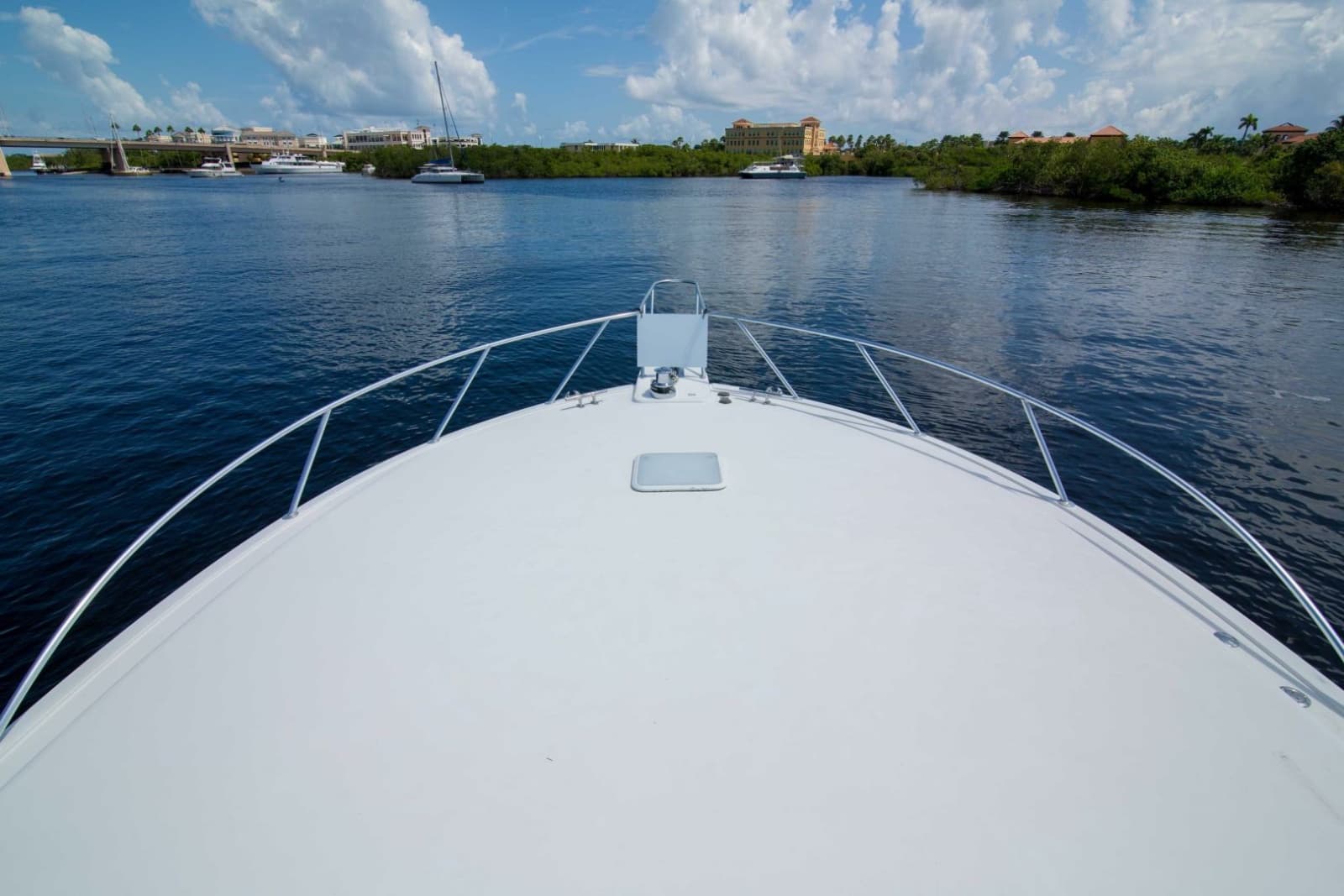 Viking 50 - Tiger Six - Bow