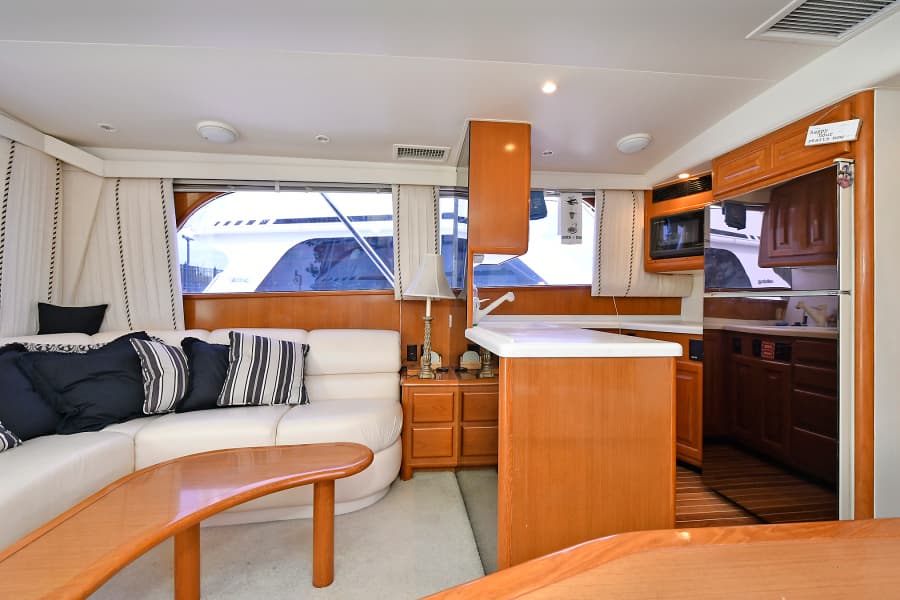Salon /Galley
