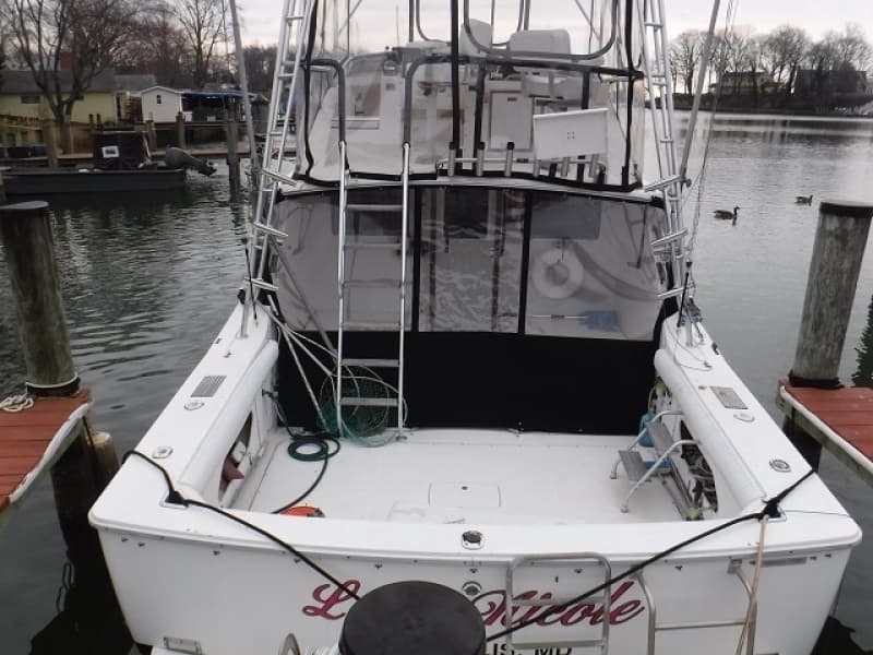 1980 Bertram 33