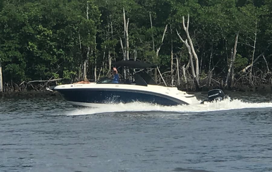 2019 Sea Ray SDX 270 Outboard