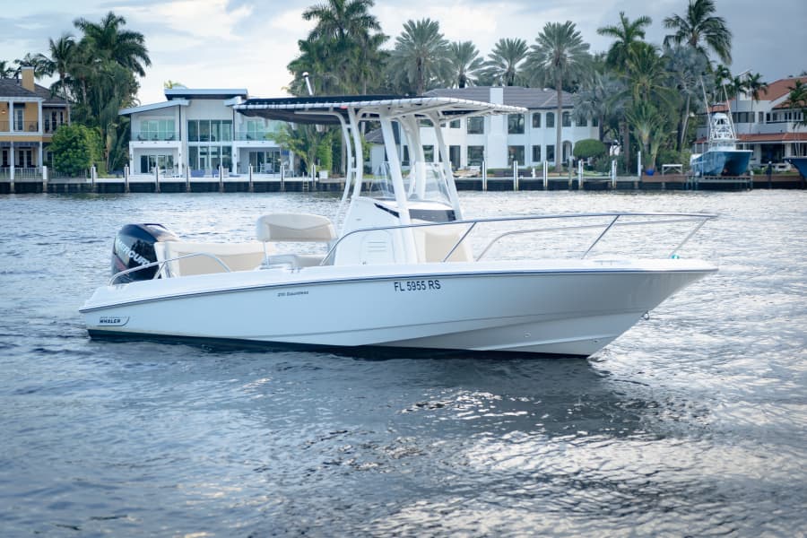2017 Boston Whaler Dauntless