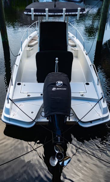 Boston Whaler 21 - Engine 