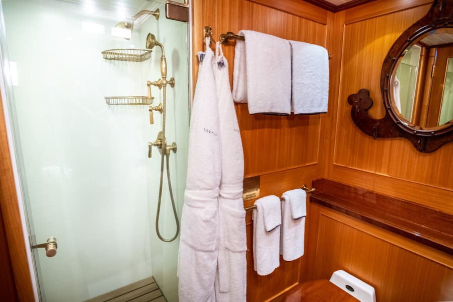 Master Head And Shower