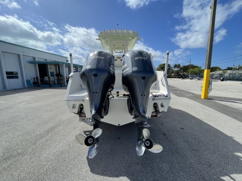2020 Pioneer 266 Pelagic - engines