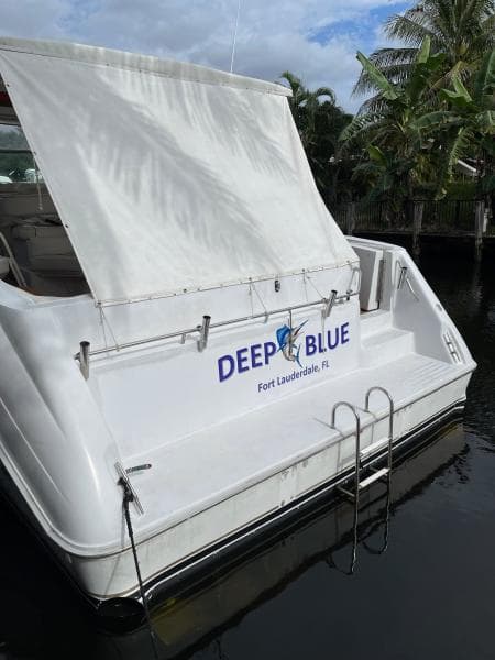 1991 Sea Ray 500 Sundancer
