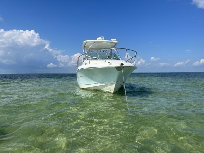 2015 Robalo R305 Walkaround