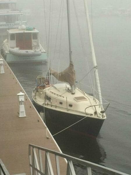 Dockside In The Fog