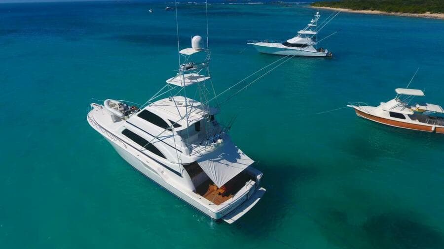 2004 Bertram 67
