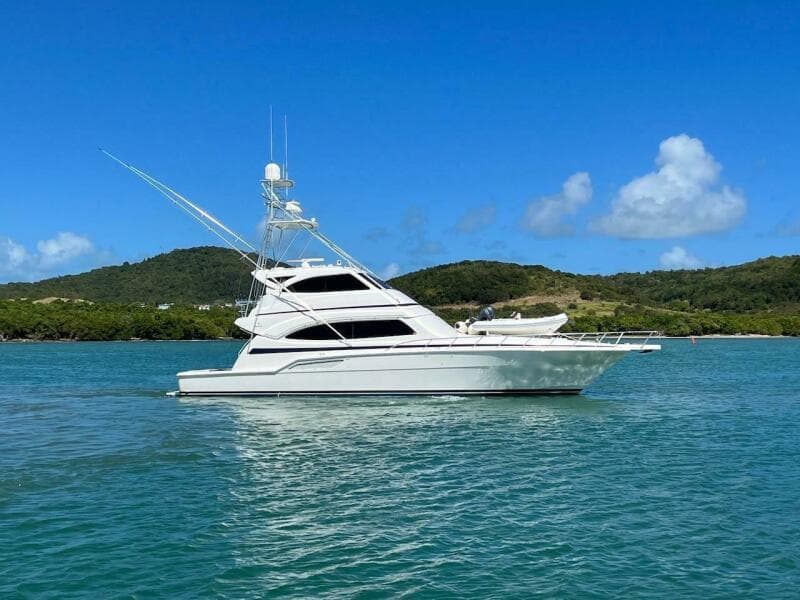 2004 Bertram 67
