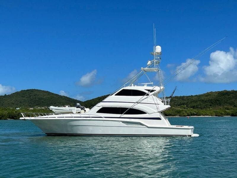 2004 Bertram 67