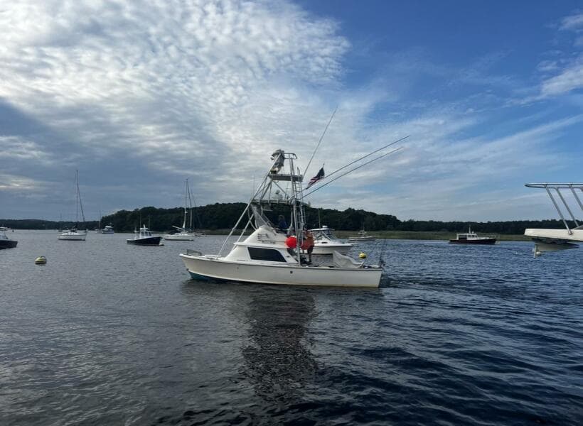 LITTLE EVA_Underway