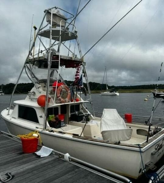 1975 Bertram 31