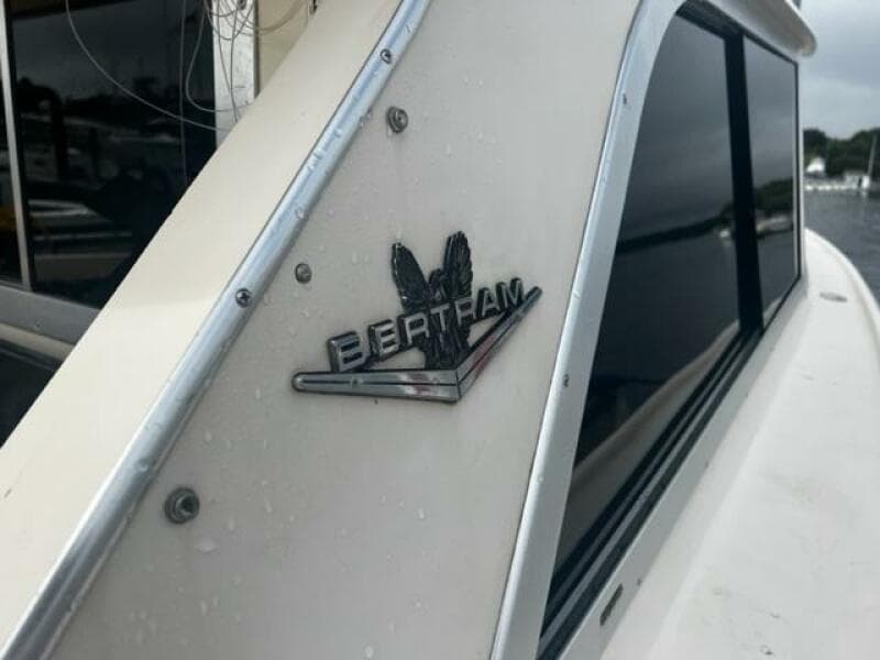 LITTLE EVA_Bertram Insignia 2