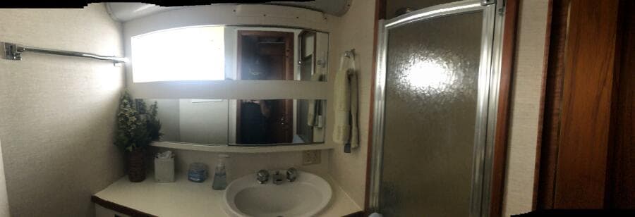 Master Head W Shower