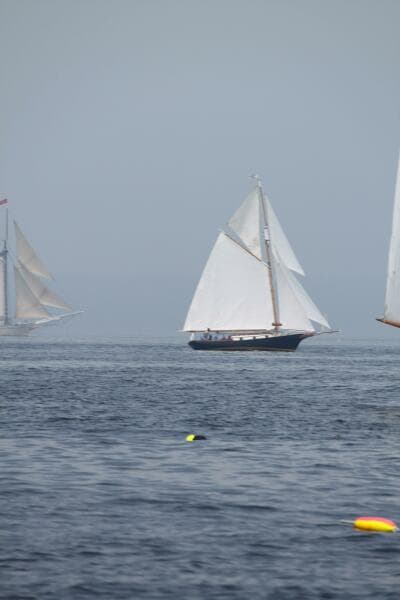 1973 Bruno & Stillman Friendship Sloop