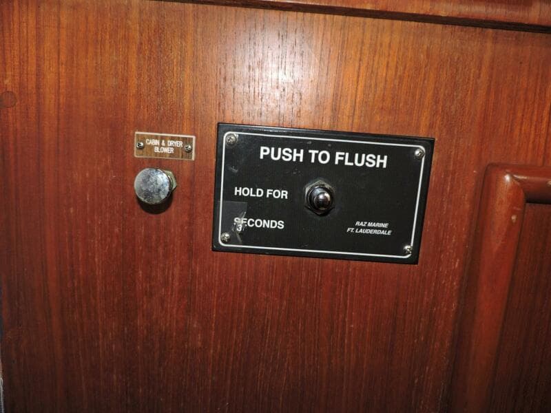 44 Electric Head