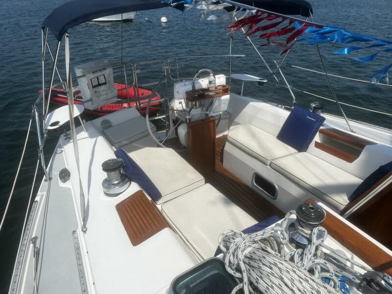 Cockpit W Bimini (2)