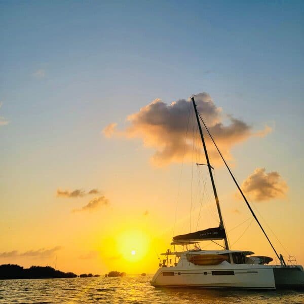 2015-leopard-48-sail-9398037-20240520114600134-1_XLARGE.jpg