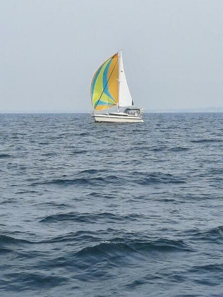 1997-island-packet-packet-cat-sail-9423876-20240613055605657-1_XLARGE.jpg