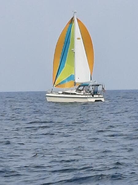 1997-island-packet-packet-cat-sail-9423876-20240613055603722-1_XLARGE.jpg