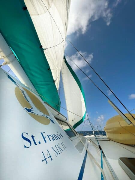 1999-st-francis-44-mkii-sail-9535775-20240906052228103-1_XLARGE.jpg