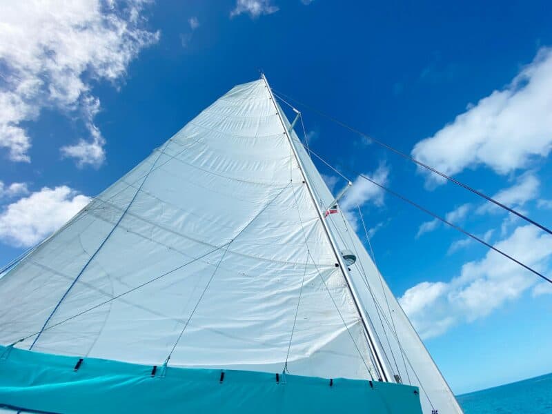 1999-st-francis-44-mkii-sail-9535775-20240906052501505-1_XLARGE.jpg