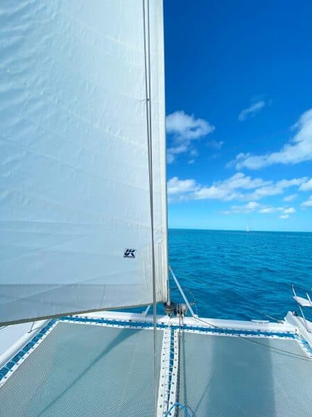 1999-st-francis-44-mkii-sail-9535775-20240906052511916-1_XLARGE.jpg