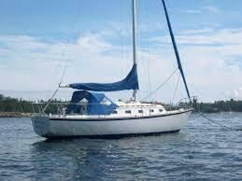 Sistership showing rig and profile