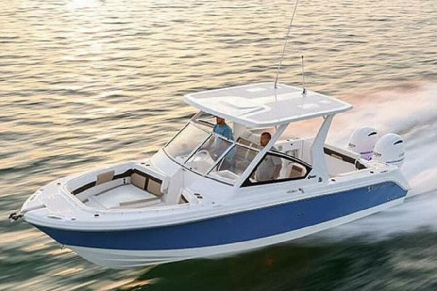 2025 Edgewater 262CX