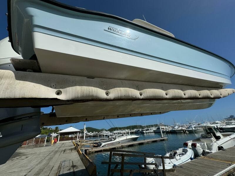 2022 Boston Whaler 250 Dauntless