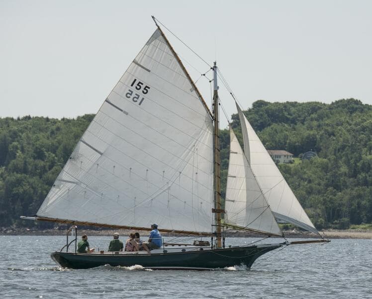 QQ at Maine regatta 3
