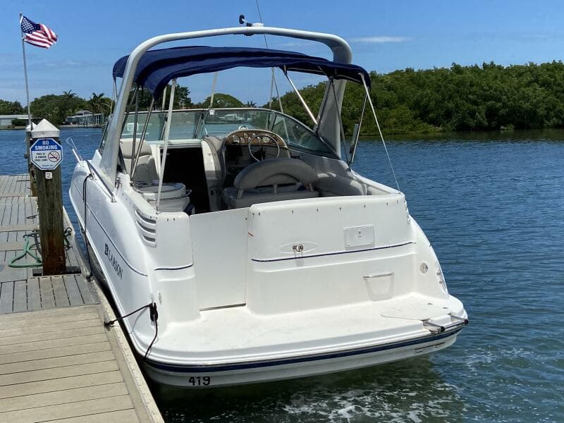 2006 Larson 274 Cabrio