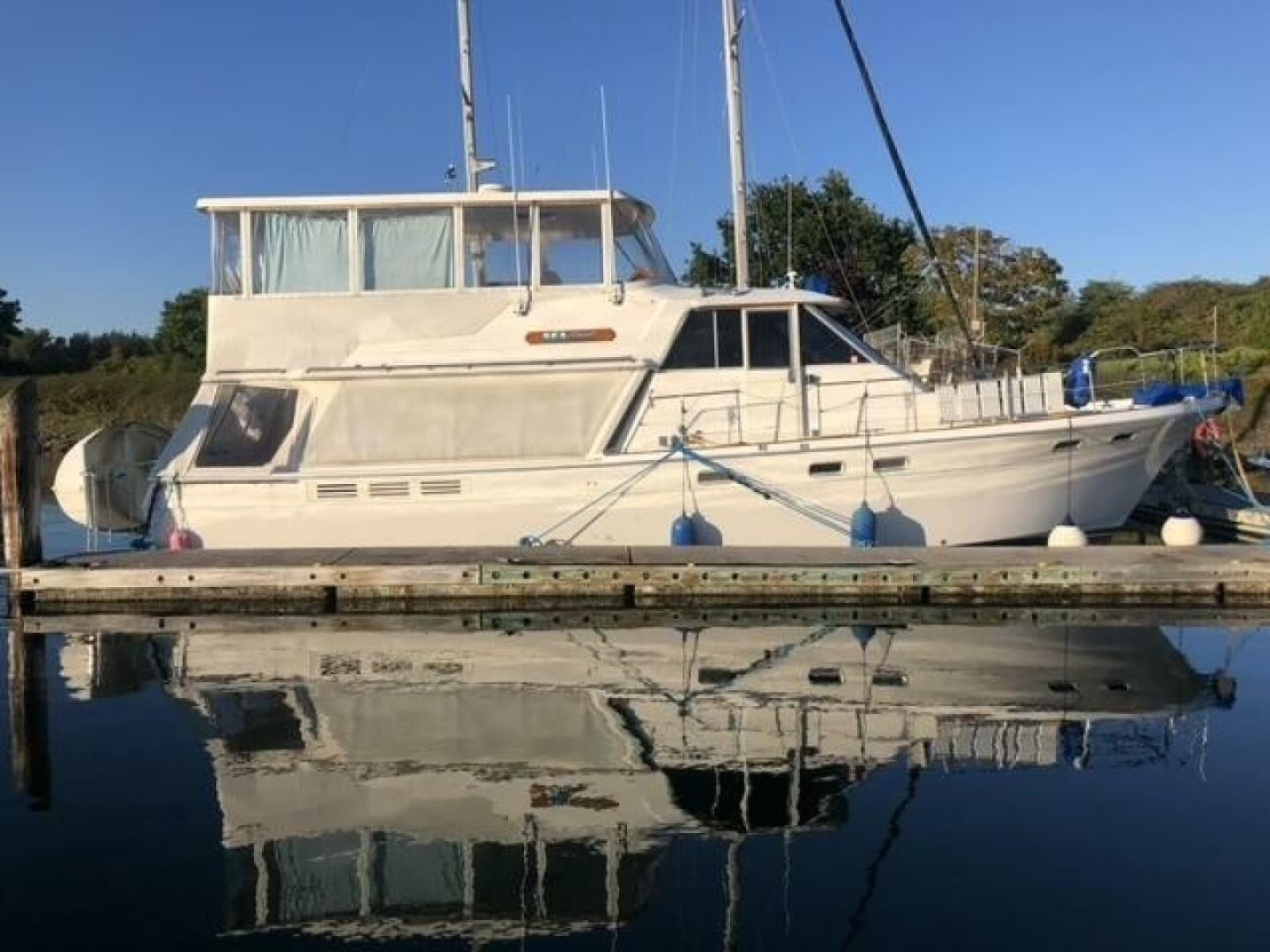 1985 Bayliner 4550 Motoryacht