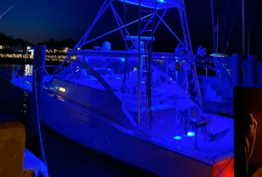 2005 Cabo Express