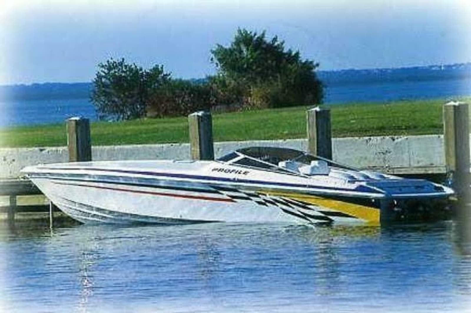 2002 Profile 33 V