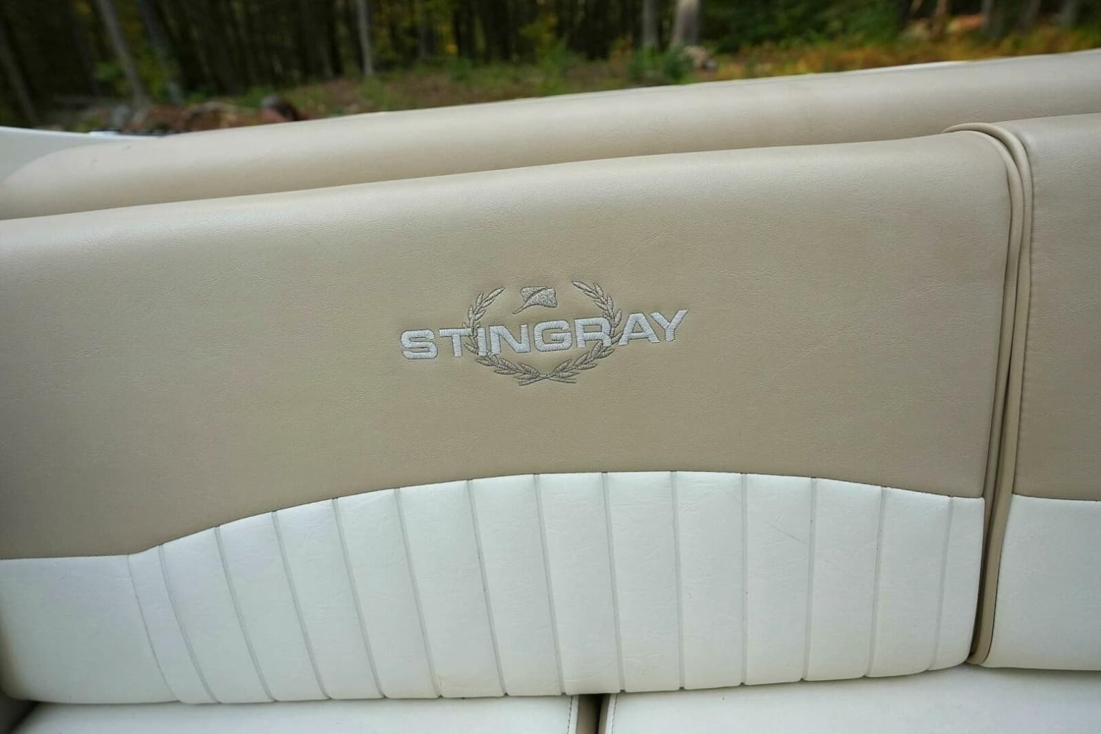 2016 Stingray CR 225