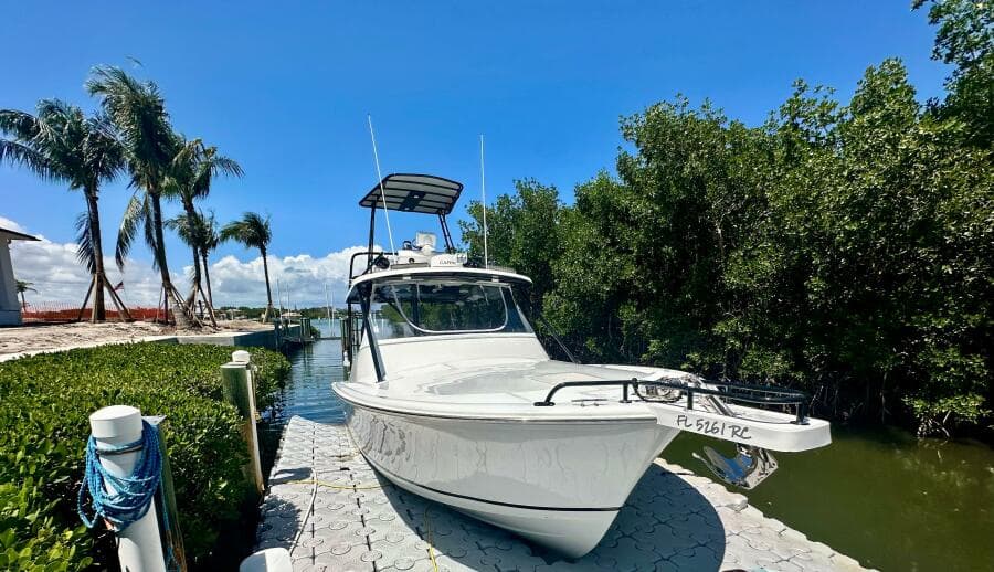 2000 Luhrs Tournament 320 Open boat docked near palm trees and waterway.