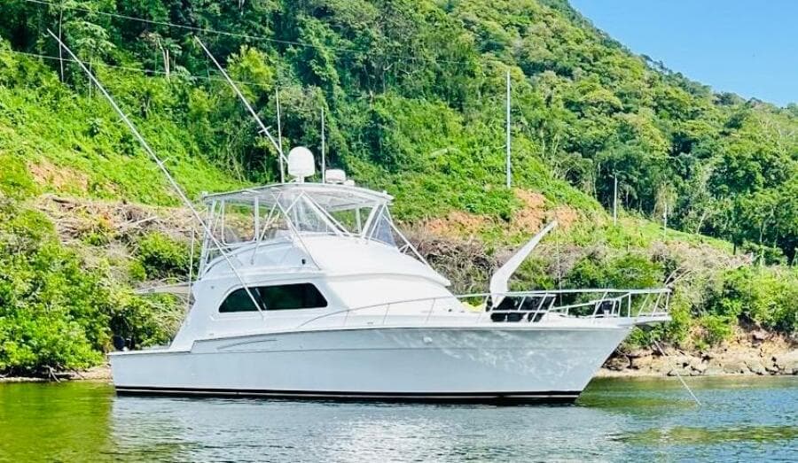 1988 Bertram 54'