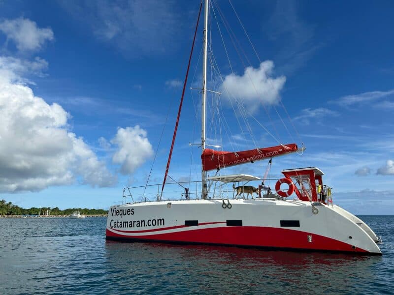 2019-caledonia-marine-systems-halifax-37-sail-9672303-20250202123349534-1_XLARGE.jpg