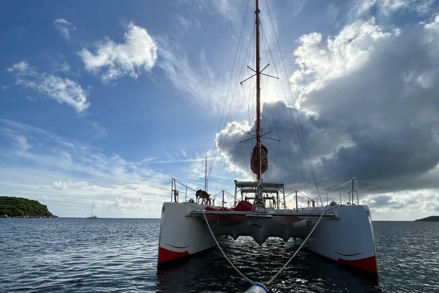 2019-caledonia-marine-systems-halifax-37-sail-9672303-20250202125430592-1_XLARGE.jpg