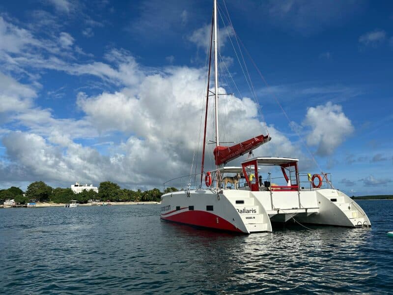2019-caledonia-marine-systems-halifax-37-sail-9672303-20250202123420128-1_XLARGE.jpg