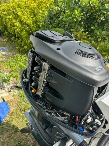 2016 Release 208 RX outboard motor with open cover, surrounded by greenery.